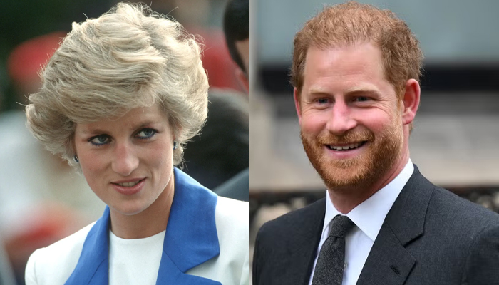 Princess Diana ‘might have been quite proud of Prince Harrys BBC interview