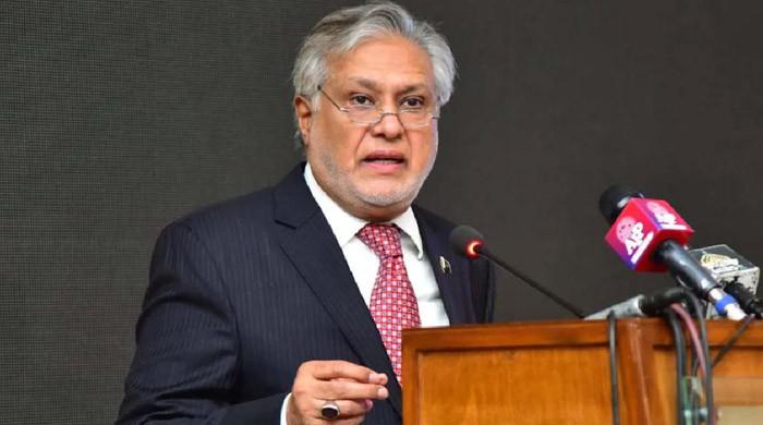 Victory will be ours, Pakistan's actions within rights, says DPM Ishaq Dar