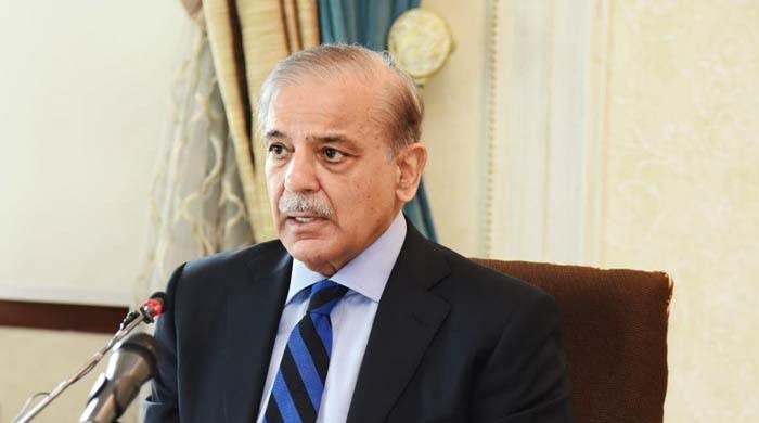 PM Shehbaz welcomes PKK's dissolution paving way for 'terror-free Turkiye'