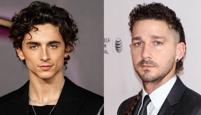 Shia LaBeouf shares rare post amid Timothee Chalamet feud rumors