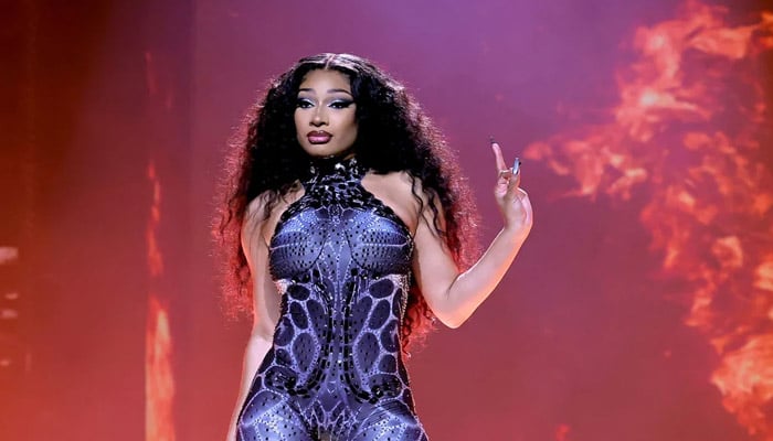 Megan Thee Stallion breaks silence on bann rumor after using cell at Met Gala