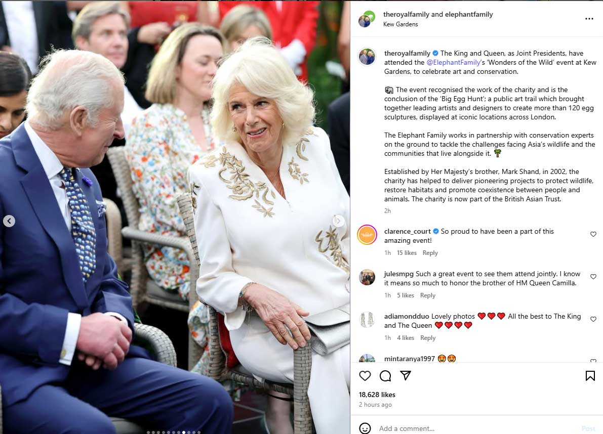 Queen Camilla acts on King Charles behalf in latest appearance
