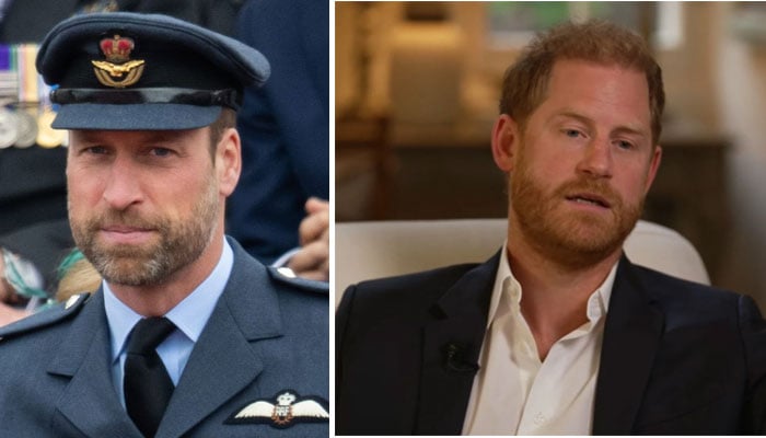 Prince William is sharpening his knives to ‘trim the Sussexes’ sails’