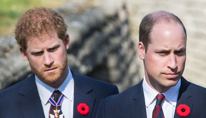 Prince Harry spills Prince William remark that I took personally