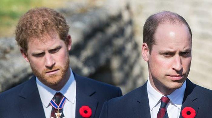 Prince Harry and Prince William