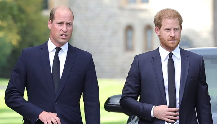 Prince Harry recalls altercation with Prince William