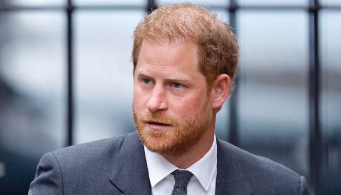 Prince Harry real world has no concept of security, says expert