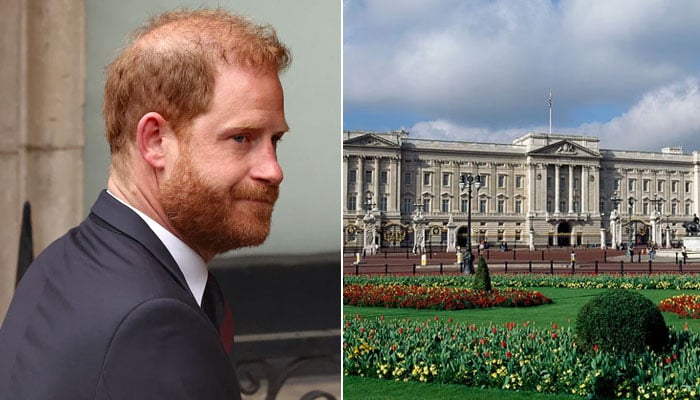 Prince Harry dubbed lonely and lost in heartbreaking claim