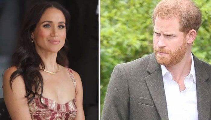 The real problem Prince Harry, Meghan Markle have in life comes into view