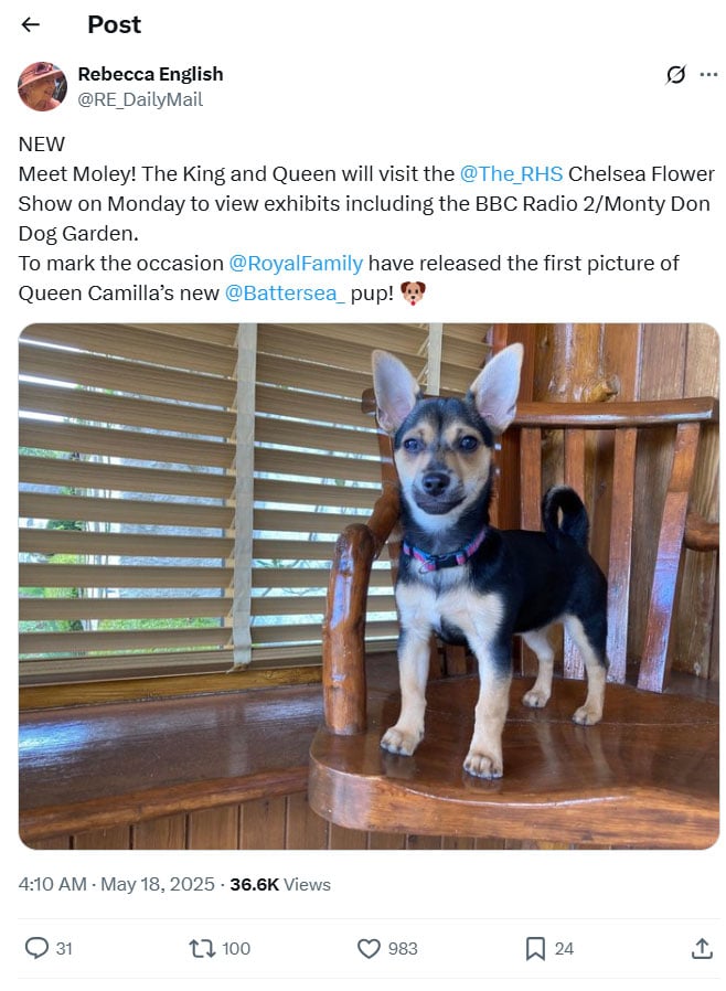 Royal family releases first photo of Queen Camillas puppy