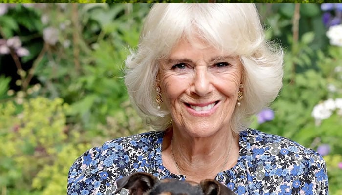 Queen Camillas puppy gets their debut