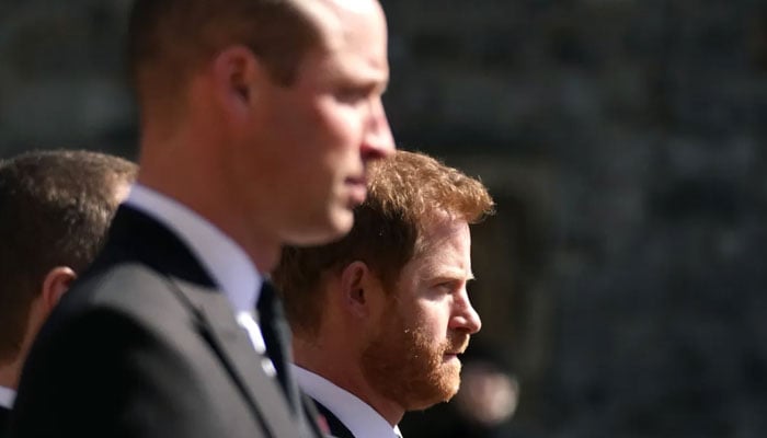 Prince Harry, Prince William rift gets worse: ‘Something really bad must have happened’