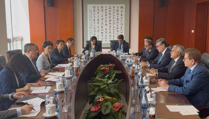 Deputy Prime Minister and Foreign Minister Ishaq Dar (second from right) attends a delegation level meeting with Minister of the International Department of the Communist Party of China (IDCPC) Liu Jianchao on May 20, 2025. — X/ @ForeignOfficePk