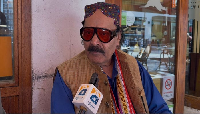 Kashmir Committee Chairman Rana Qasim Noon speaking during an interview with Geo News on May 20, 2025. — Reporter