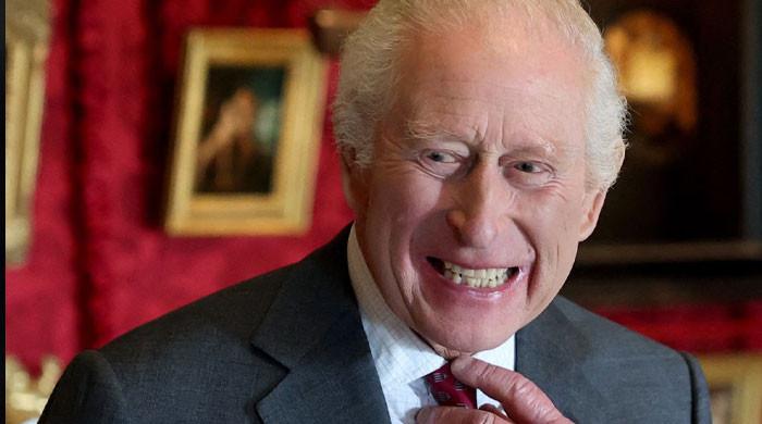 King Charles hailed for not acting like a ‘lesser man'