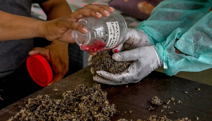 This photograph, taken on May 16, 2025, shows Ali Baloch (R), a mahout, preparing medicated meals for Madhubala and Malika, elephants who are diagnosed with tuberculosis, at the Safari Park in Karachi. — AFP