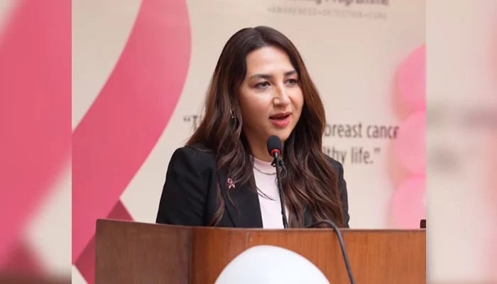 Chargé d’Affaires at the US Embassy in Islamabad, Natalie A Baker, addresses an event in Islamabad. — Screengrab via Facebook@pakistan.usembassy/ File