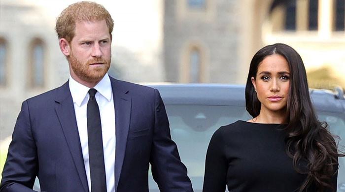 Prince Harry, Meghan Markle hit turbulence