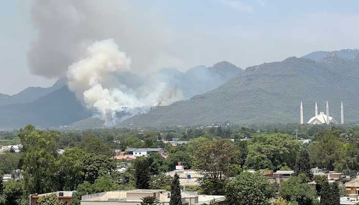 Smoke rises after a fire broke at the Margalla Hills National Park, with Faisal mosque and houses seen in the foreground, amid hot weather in Islamabad, Pakistan May 31, 2024. — Reuters