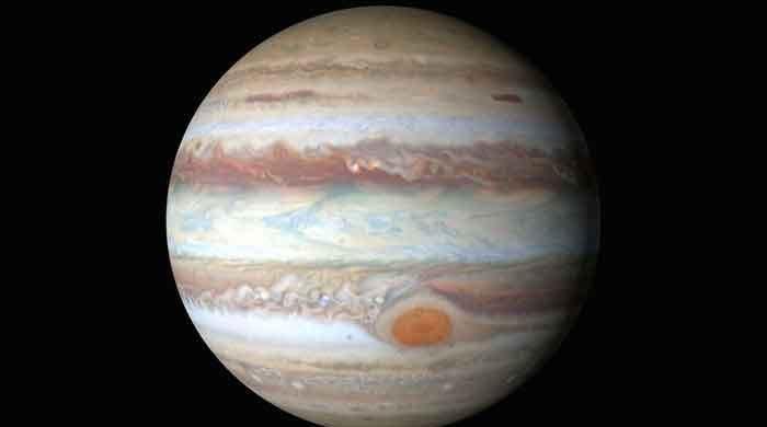 Jupiter's Early History