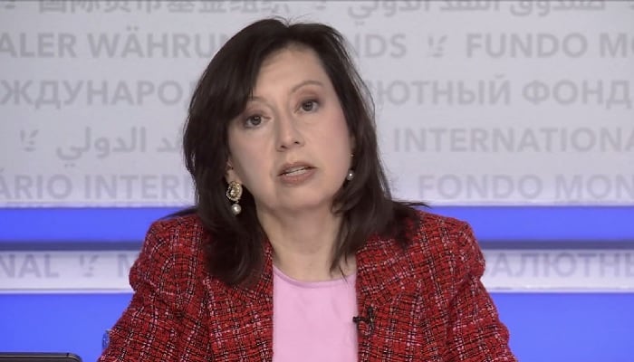 IMF spokesperson Julie Kozack addresses a press conference in Washington in this undated photo. —IMF