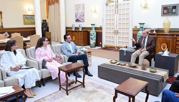 A delegation led by Pakistan Peoples Party Chairman Bilawal Bhutto Zardari calls on Prime Minister Shehbaz Sharif ahead of visit to key world capitals, Islamabad, May 23, 2025. — X/@GovtofPakistan