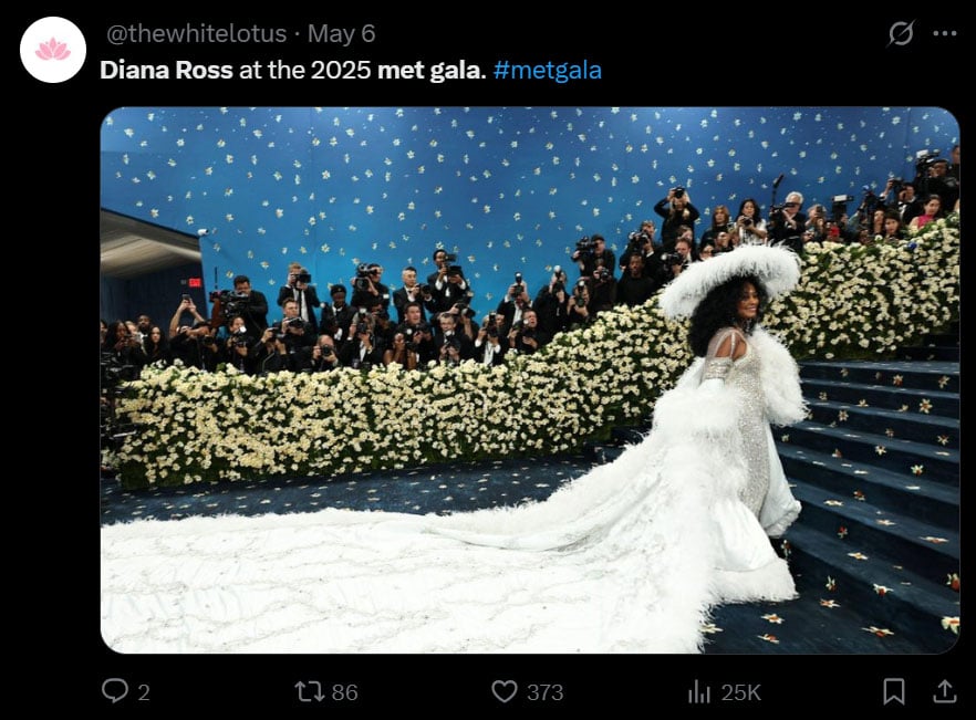 Evan Ross reveals why mom Dianas Met Gala look was more than fashion