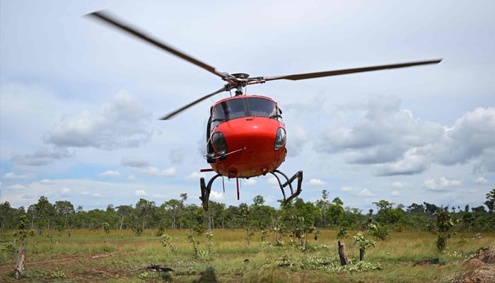 This handout photo taken on May 15, 2025 and released on May 23 by conservation group Rising Phoenix shows a helicopter during an operation to herd banteng, a type of wild cattle native to Southeast Asia, in Siem Pang in northeastern Cambodia, as part of efforts to relocate members of the endangered species. — AFP