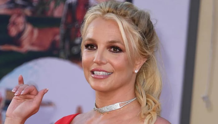 Britney Spears addresses smoking on a private jet