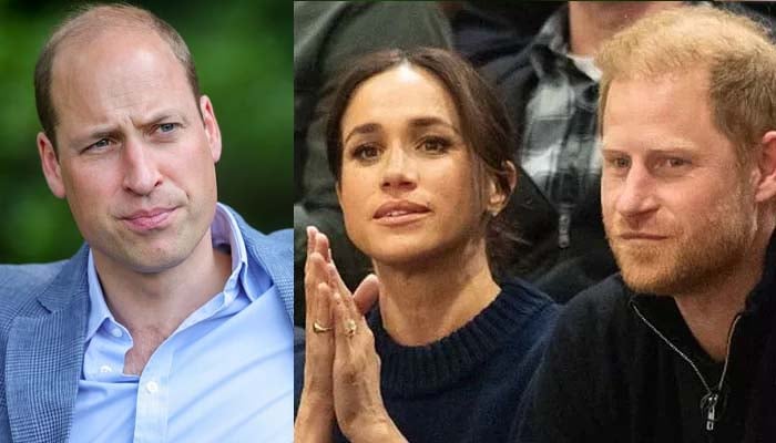 Prince William shields Harry, Meghan Markle from public insult