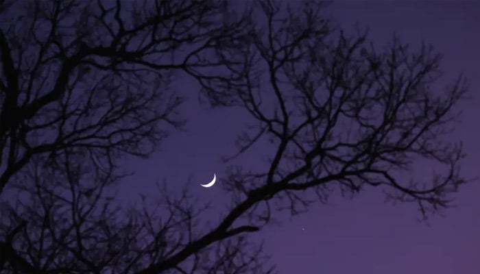 A crescent moon and the planet Venus are seen through an oak tree in Ellaville, Georgia, US, January 3, 2025. — Reuters