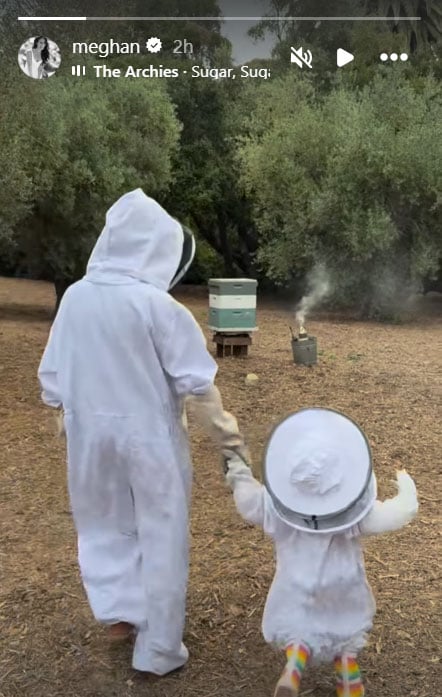 Meghan Markle tiptoes around bees with Princess Lilibet: Photo