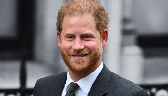 Insights expose just what Prince Harry intends to do in Hollywood