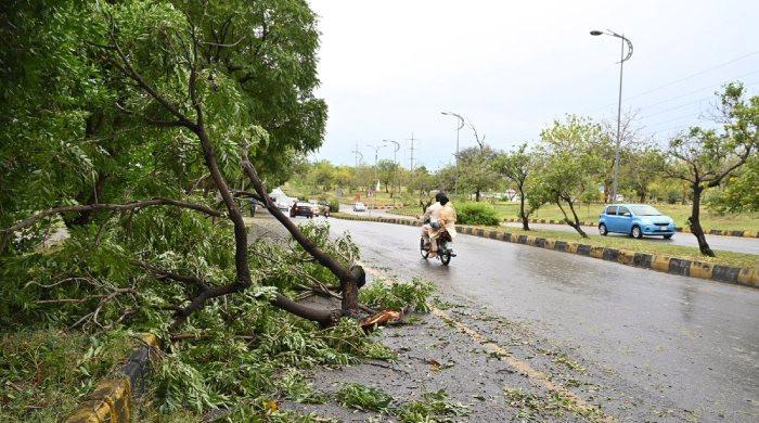 What was major cause of casualties during Punjab rains?