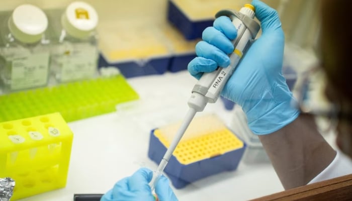 A representational image shows a medical laboratory technician working in a research lab. — Reuters