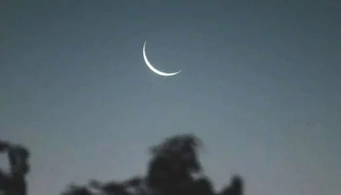Representational image of crescent. — Pexels