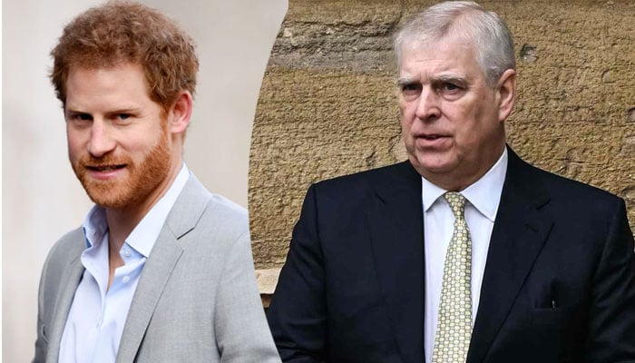 Prince Andrew turning to his ‘kin’ Prince Harry whose been just as ‘terribly treated’