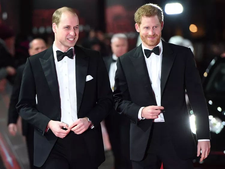 Prince Harry left Prince William grieving: completely broken