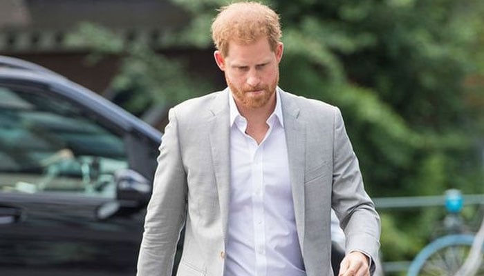 Prince Harry urged not to move forward with new ventures: ‘Stay-at-home dad is enough’