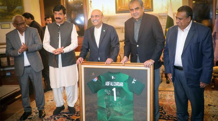 President Zardari urges cricketers to leave politics to politicians