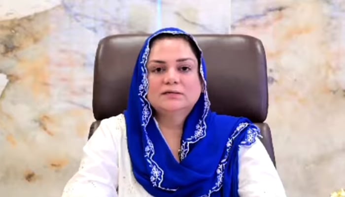 PML-N leader Hina Arshad Warraich speaks in a video message. — Screengrab via Facebook/HinaArshadPMLN