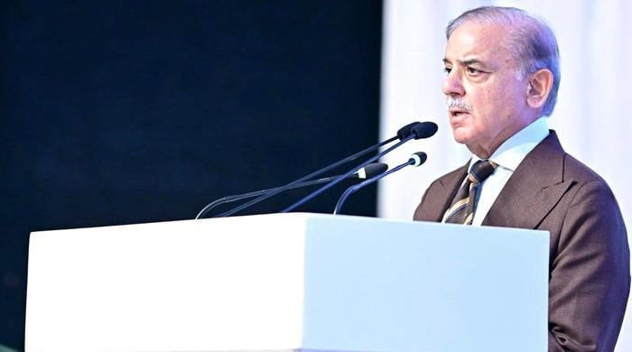 PM Shehbaz outlines three reasons why India is unlikely to attack again