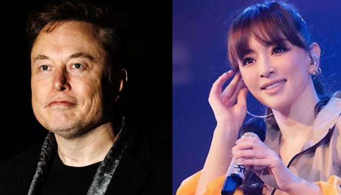 Japanese pop star Ayumi Hamasaki shuts down baby rumors with Elon Musk