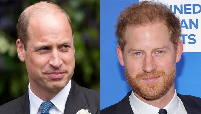Prince William makes up for Prince Harrys decision