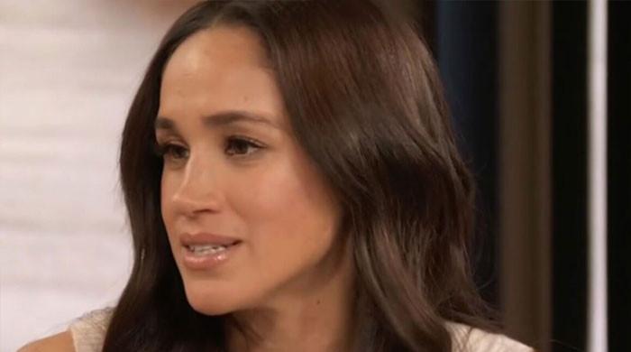 Meghan Markle gets called out for treating things like a hobby