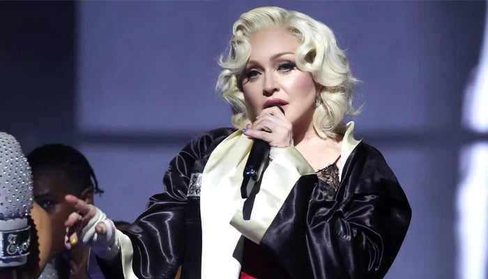 Madonna set to release ‘Veronica Electronica’