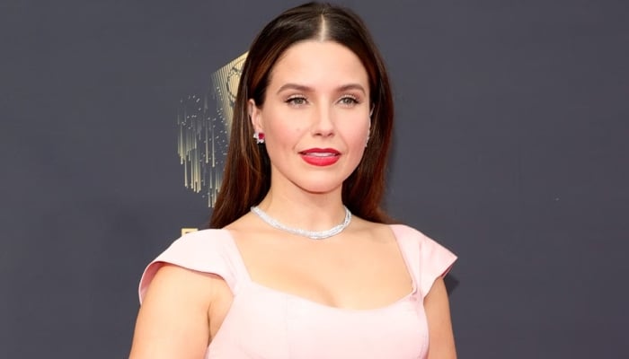 Photo: Sophia Bush reveals suffering every kind of abuse from older man