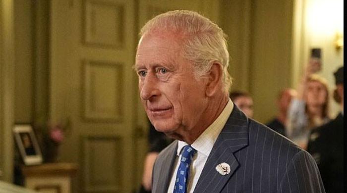 King Charles' faces monumental risk to reputation, security and status