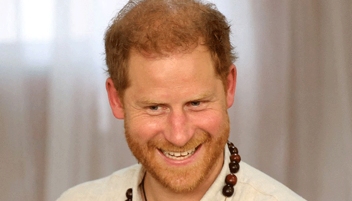 Prince Harry is ‘over excited flamingo to Meghan Markle beats