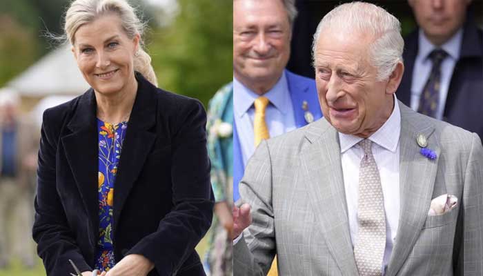 Buckingham Palace issues statement as Duchess Sophie stands in for King Charles